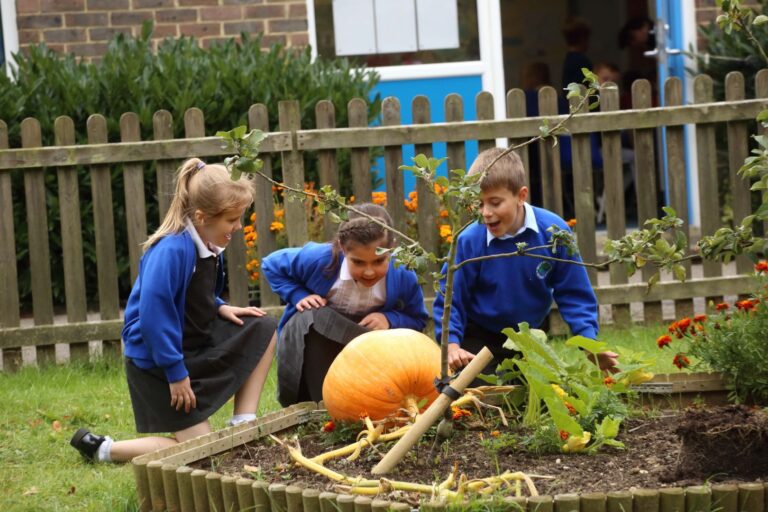 Waterfield Primary School 7202 768x512
